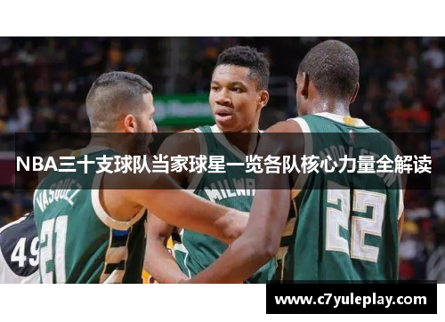 NBA三十支球队当家球星一览各队核心力量全解读